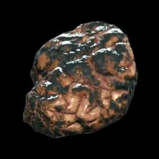 25 - BOILED SCORCHED BEAST BRAINS