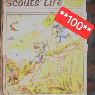 100 Scouts Life 6