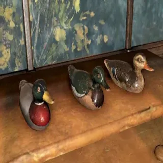 Decoy Ducks Plan