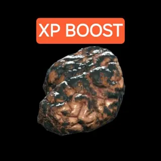 25 - Broiled Scorched Beast Brains