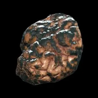 Broiled Scorchbeast Brains 25