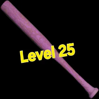 Rare Baseball Bat