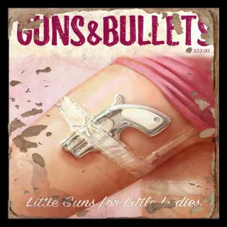 Guns and Bullets 3 X100