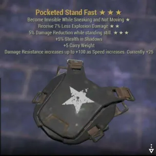 Stand Fast Pocketed