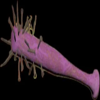Rare Pink Baseball Bat Unrolled