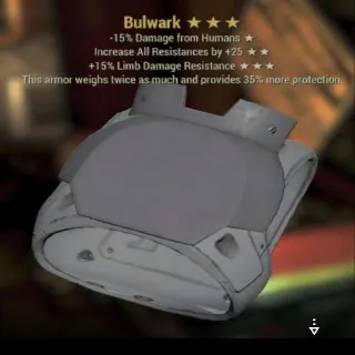 Bulwark