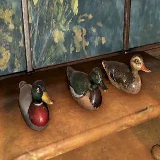 Decoy Ducks Plan