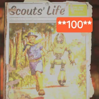 Scouts Life 8