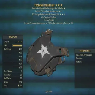 New Stand Fast POCKETED Armor Chest Piece