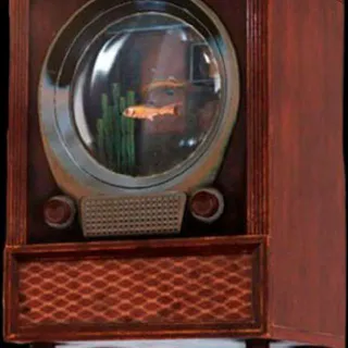TV Aquarium