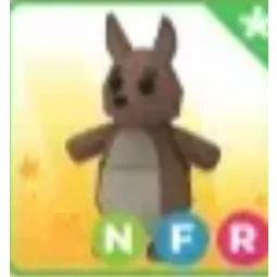 NFR Kangaroo
