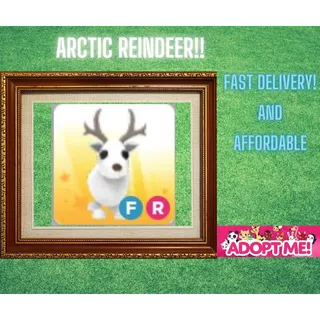 fr arctic reindeer