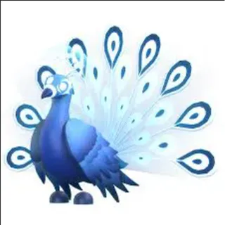 Moonbeam Peacock
