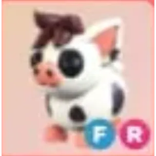FR Mini Pig