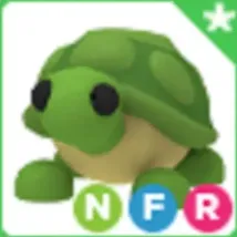 NFR TURTLE
