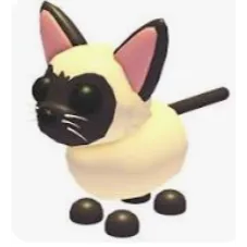 Siamese Cat