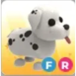 FR Dalmatian
