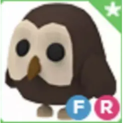FR Owl