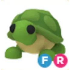 FR Turtle