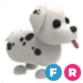 FR DALMATIAN