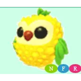 NFR Pineapple Owl