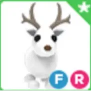FR ARCTIC REINDEER
