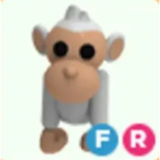 FR  Albino Monkey