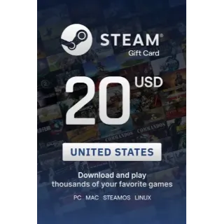 $20.00 USD - Steam