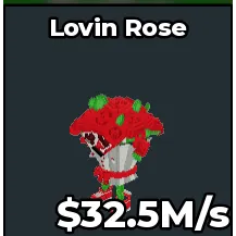 32.5M/S LOVING ROSE