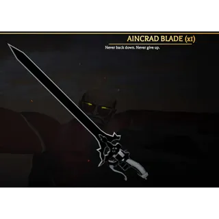 AinCrad ODM Set | Attack On Titan Revolution (AOTR)
