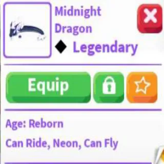 NFR Midnight Dragon