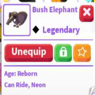 Bush Elephant Adopt Me