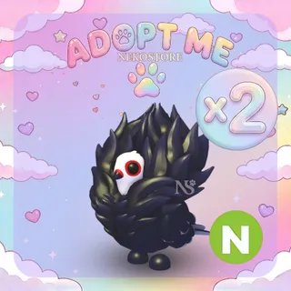 Neon Jacobin Pigeon - adopt me