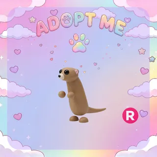 Meerkat R