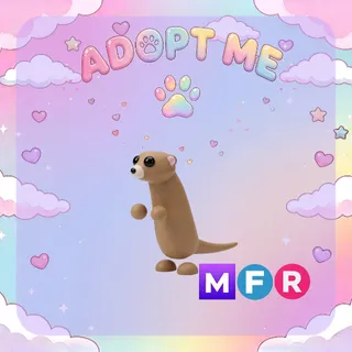 Meerkat Mega FR