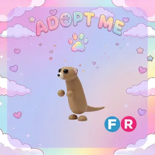 Meerkat FR