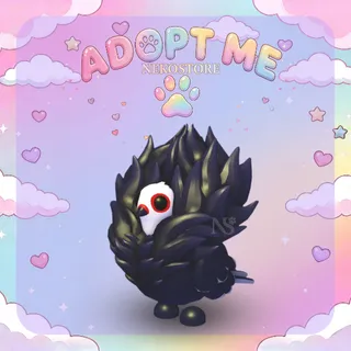 Jacobin Pigeon - adopt me