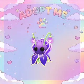 X5 Violet Friend