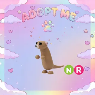 Meerkat Neon R