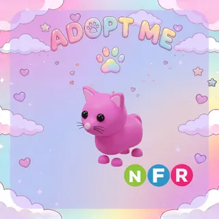 ✨ PINK CAT NFR ✨