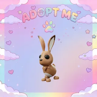Hare