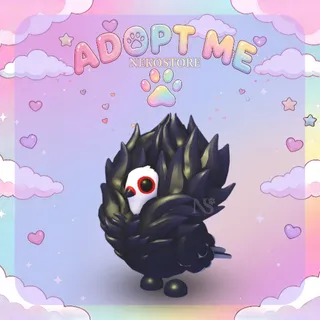Jacobin Pigeon - adopt me