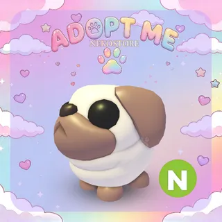 Neon Snowball Pug