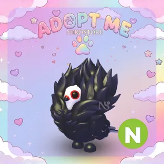 Neon Jacobin Pigeon - adopt me