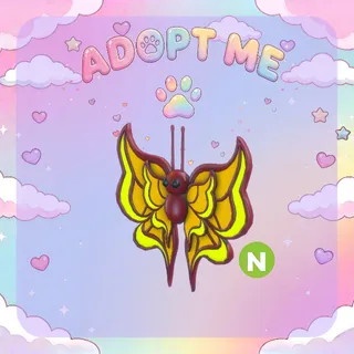 Amber Butterfly Neon