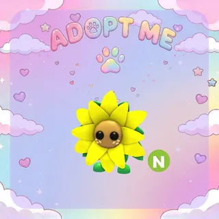 X5 Sunflower Friend Noen
