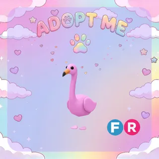 Flamingo FR
