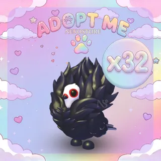 Jacobin Pigeon - adopt me