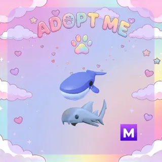 Ocean Pack