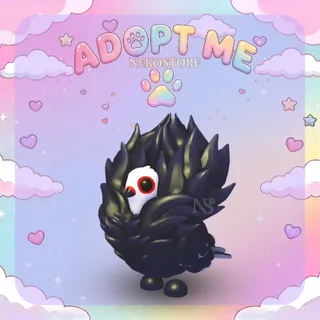 Jacobin Pigeon - adopt me